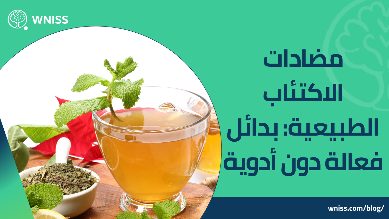 مضادات الاكتئاب الطبيعية