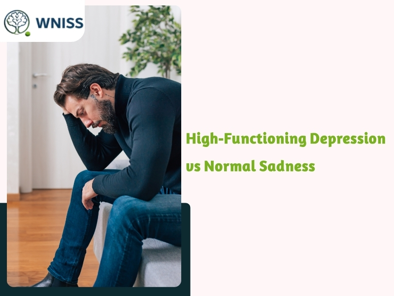 Signs of High-Functioning Functional Depression Today