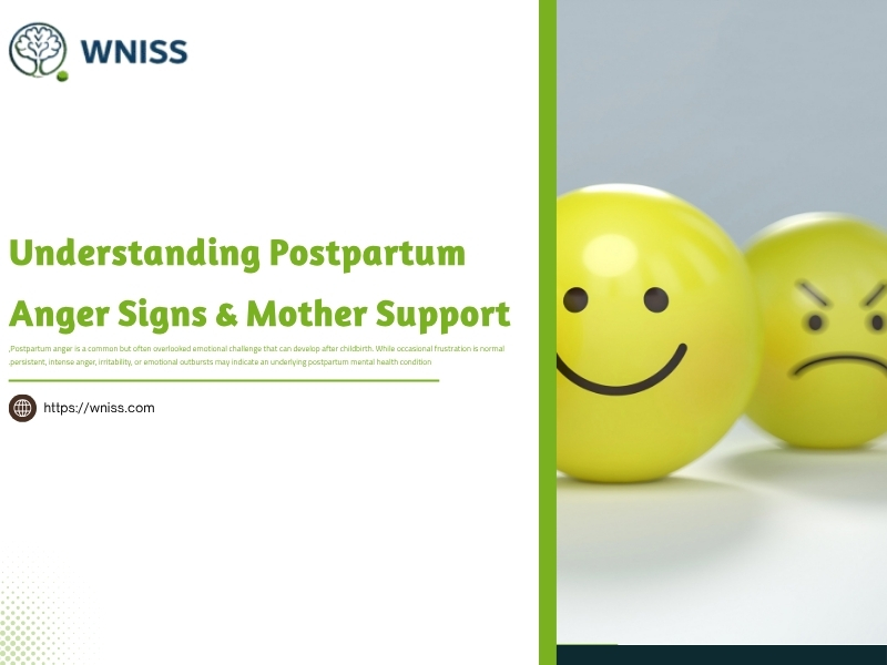 1 Understanding Postpartum Anger Signs & Mother Support