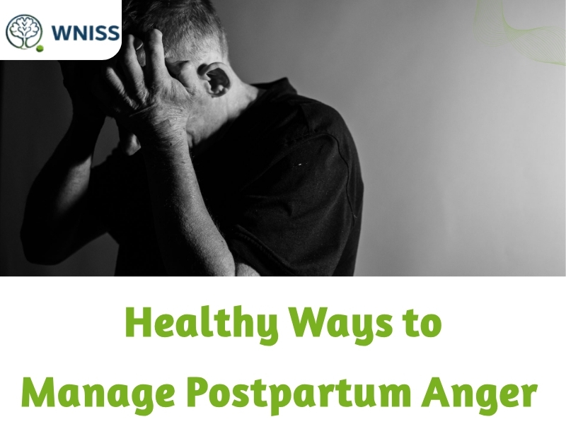 Understanding Postpartum Anger Signs & Mother Support 1 Understanding Postpartum Anger Signs & Mother Support Understanding Postpartum Anger Signs & Mother Support