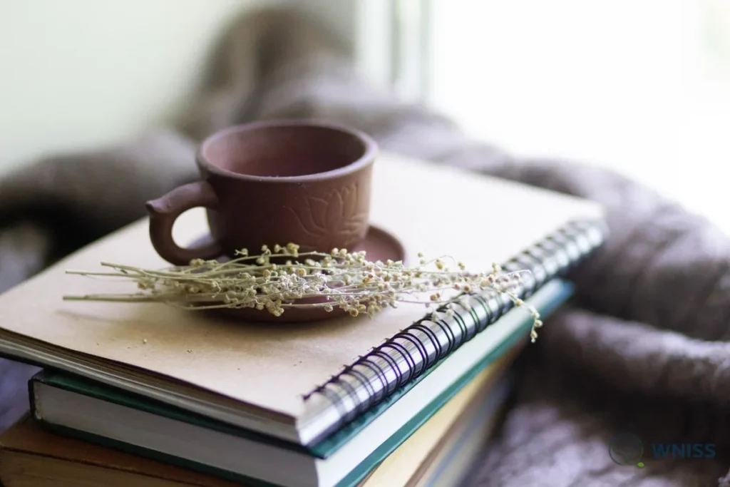 Guide to Prescribed PPD Medicine for Postpartum Depression - Guide to Prescribed PPD Medicine